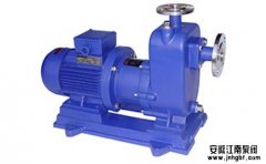 問(wèn):小型耐腐蝕自吸泵加引水是什么?