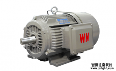 水泵電機(jī)的類(lèi)型及選型要素,滿滿干貨!