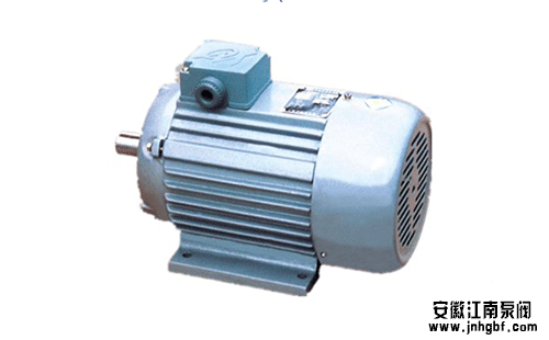 水泵電機(jī)類(lèi)型的選擇